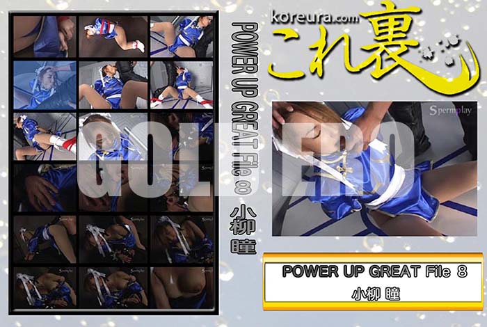 ʼ̵DVD΢DVD ɥ㡼 POWER UP GREAT File [Ʒ]