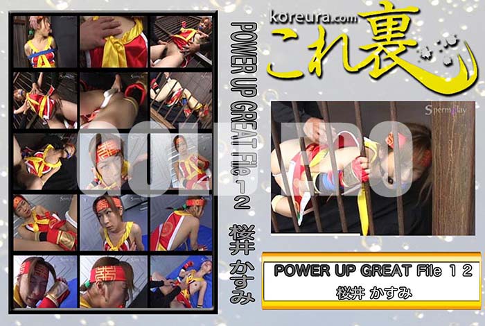 ʼ̵DVD΢DVD ɥ㡼 POWER UP GREAT File [椫]