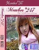 ʼ̵DVD ΢DVD ɥ㡼 Member247 029[MIKU]