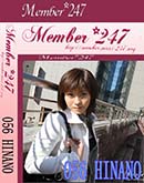ʼ̵DVD ΢DVD ɥ㡼 Member247 056[HINANO]