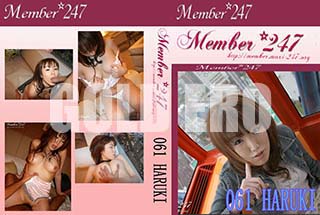 ʼ̵DVD ΢DVD ɥ㡼 Member247 061[HARUKI]