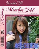 ʼ̵DVD ΢DVD ɥ㡼 Member247 087 CHIHIRO[CHIHIRO]
