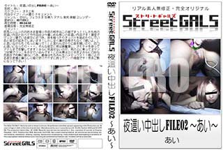 ʼ̵DVD ΢DVD ɥ㡼 Street GALS 礤ФFILE02 []