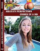 ʼ̵DVD ΢DVD ɥ㡼 Araya's Perfection Comes In A DD[Araya Sun]