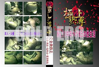 ʼ̵DVD ΢DVD ɥ㡼 No.11ǯϥH[-]