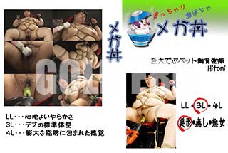 ʼ̵DVD ΢DVD ɥ㡼 ᥬЧ Ǥ֥ڥåȻʪ Hitomi[Hitomi]