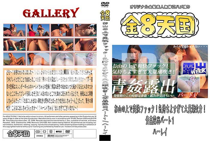 ʼ̵DVD΢DVD ɥ㡼 ⣸ŷ ξֲեå褹Ĭ᤭ ĴϪХѡ1 ϡ쥤[ϡ쥤]