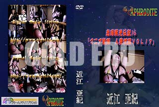 ʼ̵DVD ΢DVD ɥ㡼 16 ֥ޥ˥ϿͺVOL17[Ṿ]