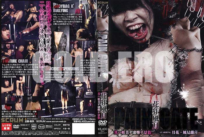 ʼ̵DVD΢DVD ɥ㡼 PAIN GATE ֶ[  餹]