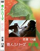 ʼ̵DVD ΢DVD ɥ㡼 ǿͥ꡼ ֤ 570[19]