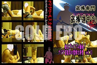 ʼ̵DVD ΢DVD ɥ㡼 ץߥư衪 ǽỴʻ vol.13[-]