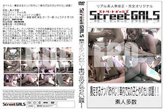 ʼ̵DVD ΢DVD ɥ㡼 Street GALS ˽ʥѤ䤸 ǽλҤȤꤿꡪ  [-]