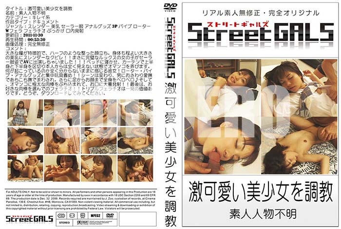 ʼ̵DVD΢DVD ɥ㡼 Street GALS İĴ[-]