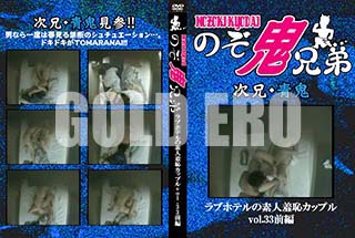 ʼ̵DVD ΢DVD ɥ㡼 ֥ۥƥǿѥåץvol.33[-]