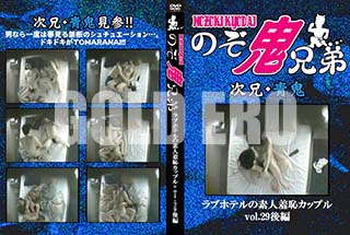 ʼ̵DVD ΢DVD ɥ㡼 ֥ۥƥǿѥåץvol.29[-]