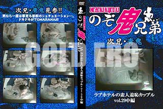 ʼ̵DVD ΢DVD ɥ㡼 ֥ۥƥǿѥåץvol.29[-]