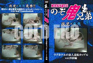 ʼ̵DVD ΢DVD ɥ㡼 ֥ۥƥǿѥåץvol.29[-]