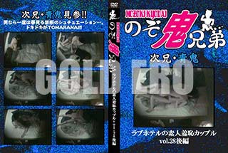 ʼ̵DVD ΢DVD ɥ㡼 ֥ۥƥǿѥåץvol.28[-]