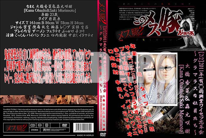 ʼ̵DVD΢DVD ɥ㡼 2/22011ǯ(ͭ)ȥ磻˺ǯޥ饹ʼҰ 綶 [綶 ]