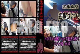 ʼ̵DVD ΢DVD ɥ㡼 ϥӥ𻣡 åŹͻ¤ꡪ ѥ vol.30[-]