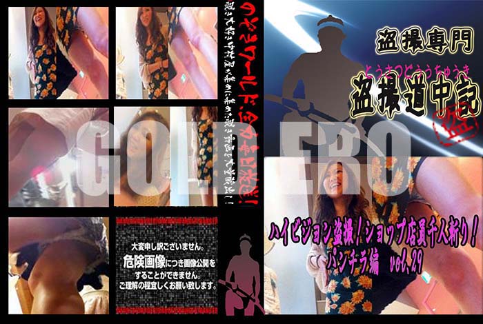 ʼ̵DVD΢DVD ɥ㡼 ϥӥ𻣡 åŹͻ¤ꡪ ѥ vol.29[-]