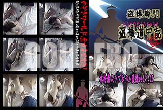 ʼ̵DVD ΢DVD ɥ㡼 ʪǿ֥ͥۥƥ vol.09_02[-]