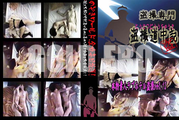 ʼ̵DVD΢DVD ɥ㡼 ʪǿ֥ͥۥƥ vol.12[-]