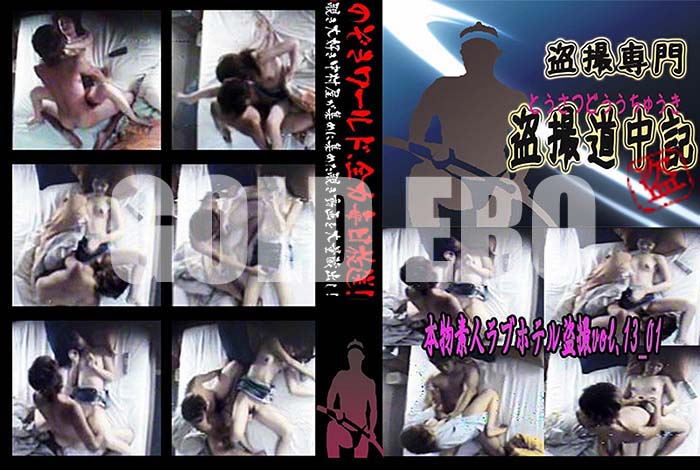 ʼ̵DVD΢DVD ɥ㡼 ʪǿ֥ͥۥƥ vol.13_01[-]