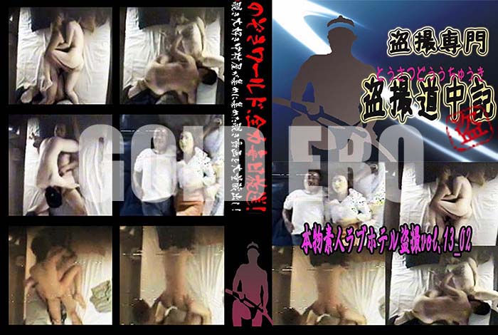 ʼ̵DVD΢DVD ɥ㡼 ʪǿ֥ͥۥƥ vol.13_02[-]