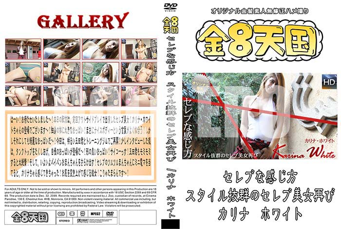 ʼ̵DVD΢DVD ɥ㡼 8ŷ ֤ʴ ȴΥƤ  ۥ磻[ ۥ磻]