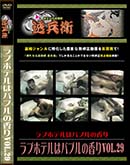 ʼ̵DVD ΢DVD ɥ㡼 ֥ۥƥϥХ֥ιVol.29[-]