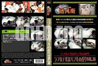 ʼ̵DVD ΢DVD ɥ㡼 ֥ۥƥϥХ֥ιVol.36[-]