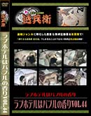 ʼ̵DVD ΢DVD ɥ㡼 ֥ۥƥϥХ֥ιVol.44[-]