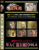 ʼ̵DVD ΢DVD ɥ㡼 ף ϪŷϤVol.6[-]