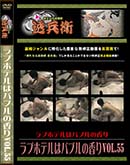 ʼ̵DVD ΢DVD ɥ㡼 ֥ۥƥϥХ֥ιVol.55[-]