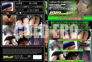 ʼ̵DVD ΢DVD ɥ㡼 ѥ鳹41[-]