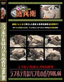 ʼ̵DVD ΢DVD ɥ㡼 ֥ۥƥϥХ֥ιVol.66[-]