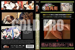 ʼ̵DVD ΢DVD ɥ㡼 Ρ֤ʶ˸ávol.13[-]