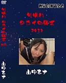 ʼ̵DVD ΢DVD ɥ㡼 ǯ 饤ε 2013 []