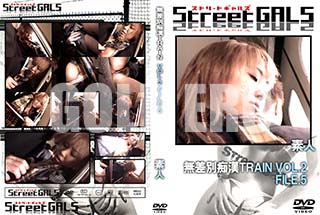 ʼ̵DVD ΢DVD ɥ㡼 Street GALS ̵ԴTRAIN VOL.2 FILE.5 [-]