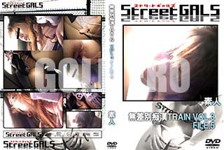 ʼ̵DVD ΢DVD ɥ㡼 Street GALS ̵ԴTRAIN VOL.3 FILE.5 [-]