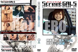 ʼ̵DVD ΢DVD ɥ㡼 Street GALS ǲۤǤѥץ쥤˶ʳ  [-]