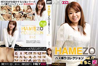 ʼ̵DVD ΢DVD ɥ㡼 HAMEZO ϥợꥳ쥯 vol.17 []