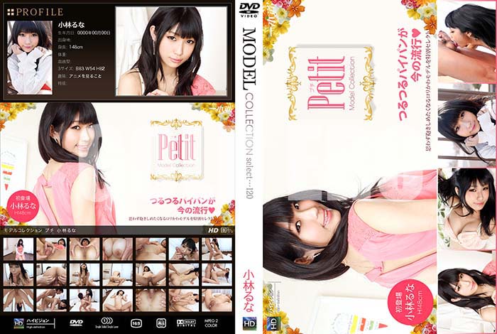 ʼ̵DVD΢DVD ɥ㡼 MODEL COLLECTION select120 [Ӥ]