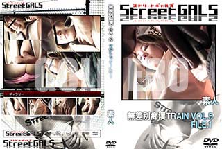 ʼ̵DVD ΢DVD ɥ㡼 Street GALS ̵ԴTRAIN VOL.5 FILE.1 [-]