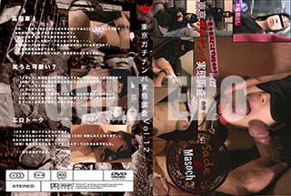 ʼ̵DVD ΢DVD ɥ㡼 ʥѼĴ Vol.12 [ͳ]