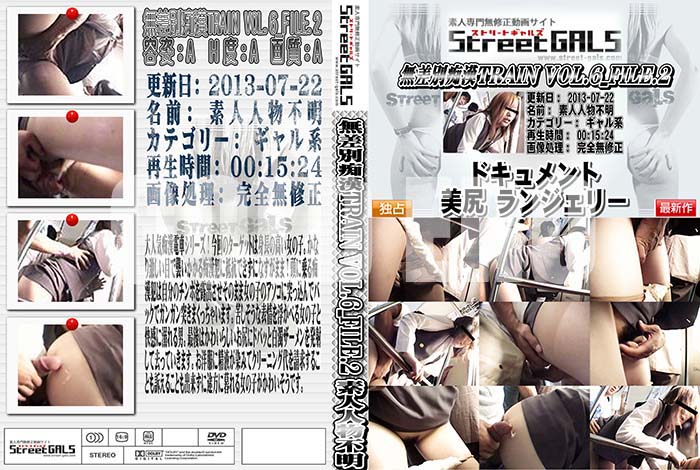 ʼ̵DVD΢DVD ɥ㡼 Street GALS ̵ԴTRAIN VOL.6 FILE.2 [-]