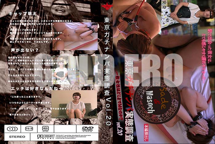 ʼ̵DVD΢DVD ɥ㡼 ʥѼĴ Vol.20 []