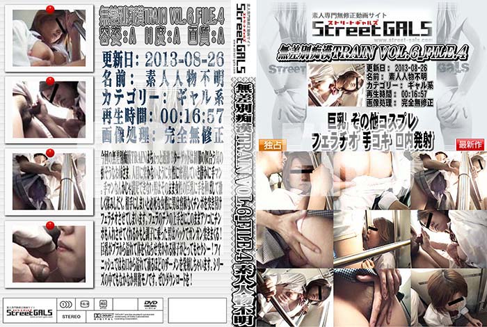 ʼ̵DVD΢DVD ɥ㡼 Street GALS ̵ԴTRAIN VOL.6 FILE.4 [-]