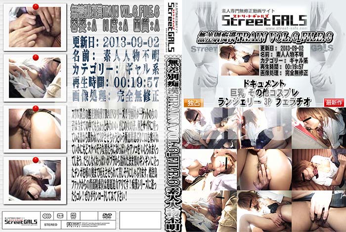 ʼ̵DVD΢DVD ɥ㡼 Street GALS ̵ԴTRAIN VOL.6 FILE.6 [-]